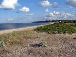 Rezerwat przyrody Mechelińskie Łąki